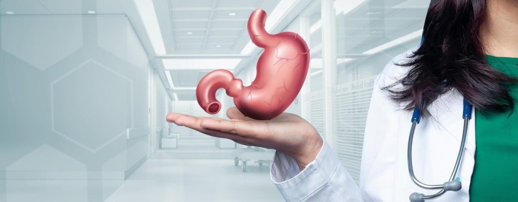 doctor-holding-3d-stomach-hand-m